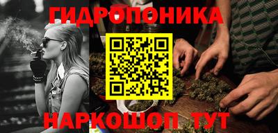 Альфа ПВП Янаул
