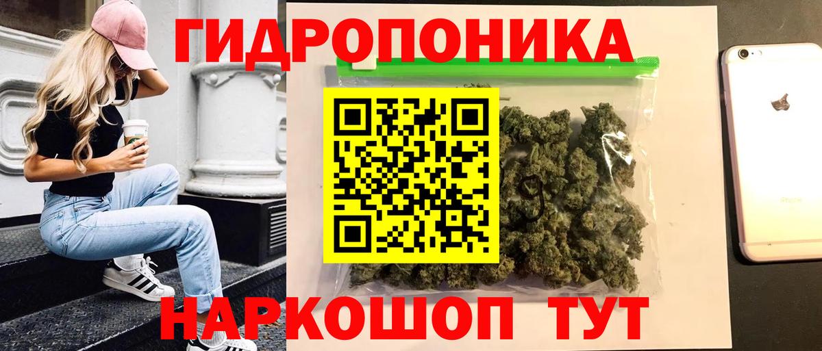 Канабис White Widow Обь